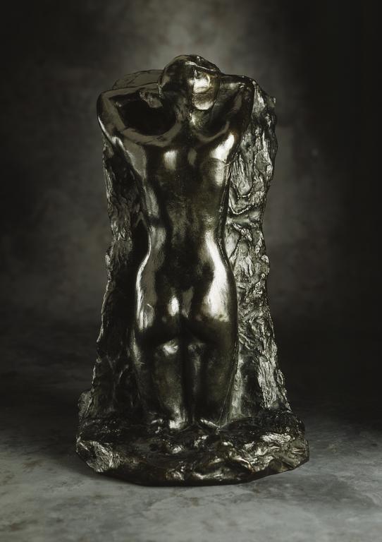 Catalogue raisonné, Auguste Rodin, La douleur