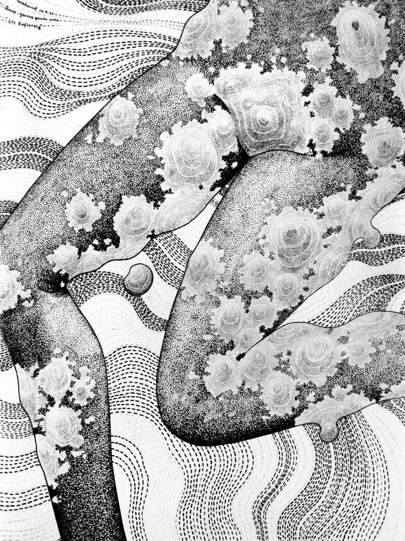Catalogue raisonné, Robert Malaval, Anne : Genoux gauche - pubis - Les Enflures 1