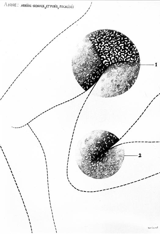 Catalogue raisonné, Robert Malaval, Anne : Arrière-genoux 2 et pubis 1 focalisés
