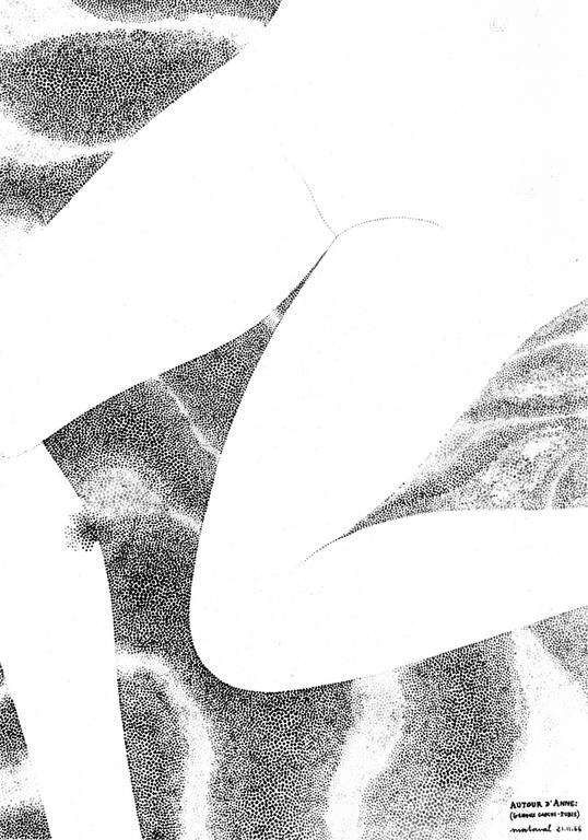 Catalogue raisonné, Robert Malaval, Autour d'Anne : (Genoux gauche - Pubis)