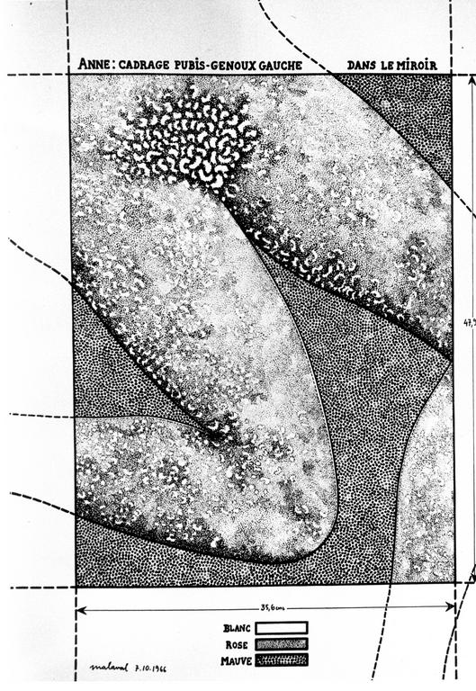 Catalogue raisonné, Robert Malaval, Anne : cadrage pubis - genoux gauche dans le miroir
