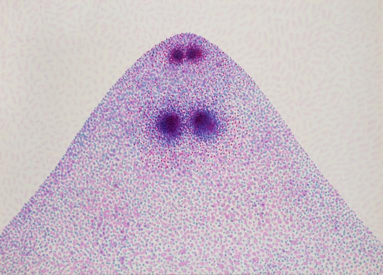 Catalogue raisonné, Robert Malaval, Dirty dirty Honpf