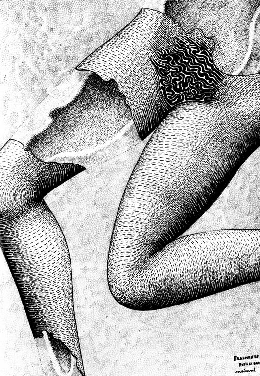 Catalogue raisonné, Robert Malaval, Fragments pubis et genoux