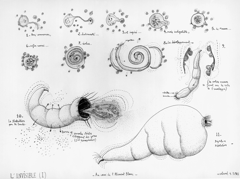 Catalogue raisonné, Robert Malaval, L'Invisible I, au coeur de l'Aliment Blanc - 1963