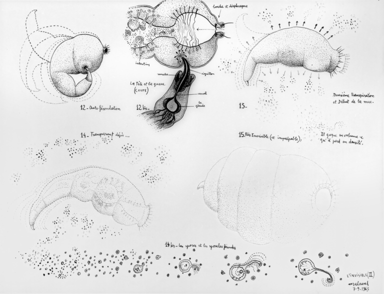 Catalogue raisonné, Robert Malaval, L'Invisible II - 1963