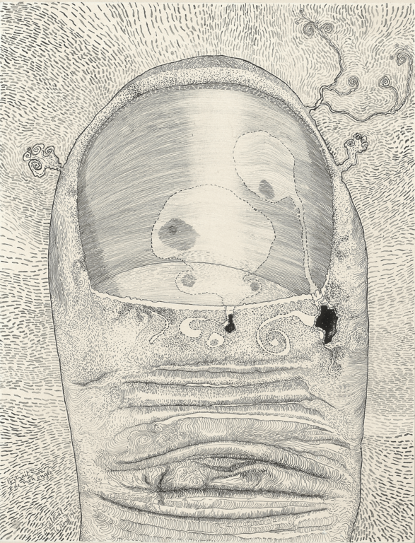 Catalogue raisonné, Robert Malaval, Portrait de mon ongle - 1962