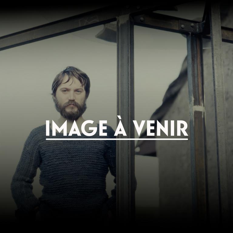 Catalogue raisonné, Jean Clareboudt, Elévation 15 — 1983