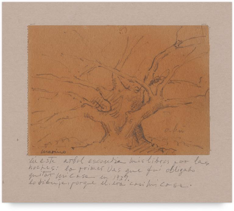 Catalogue raisonné, Francesco Marino di Teana, Arbol de Buenos Aires —1939
