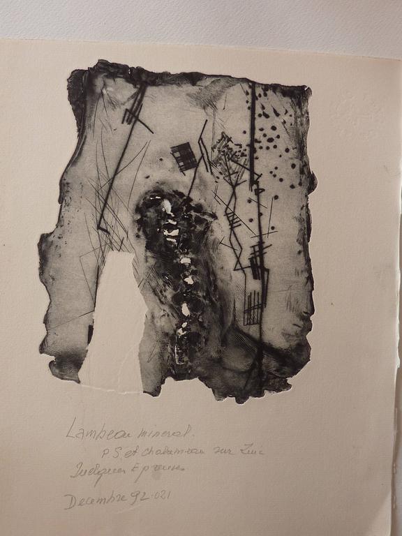 Catalogue raisonné, , Lambeau minéral 