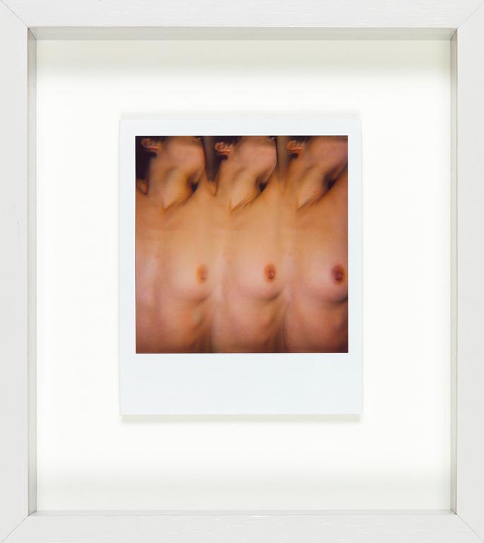 Catalogue raisonné, Henri Foucault, Polaroïd 24 février 2008/1
