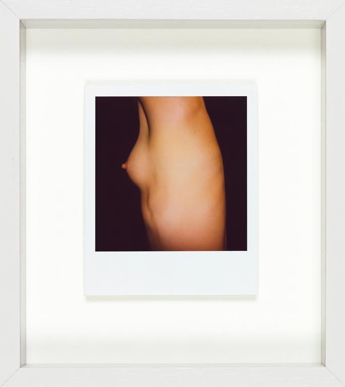 Catalogue raisonné, Henri Foucault, Polaroid 24 février 2008/5