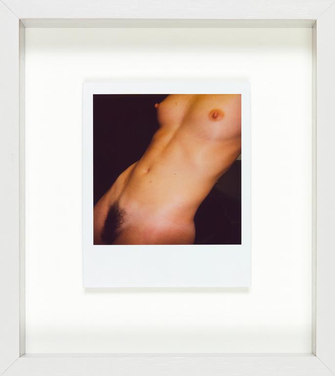 Catalogue raisonné, Henri Foucault, Polaroid 28 mars 2008/10