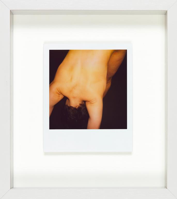 Catalogue raisonné, Henri Foucault, Polaroid 28 mars 2008/2