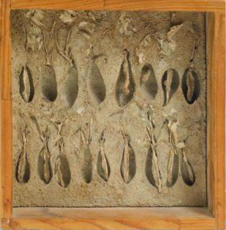 Catalogue raisonné, Roy Adzak, Radis