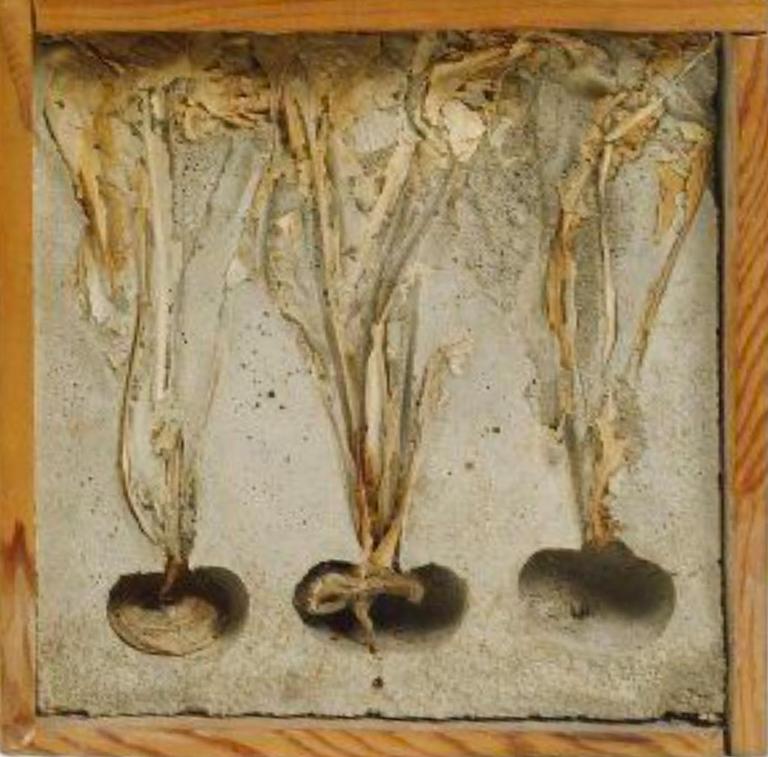 Catalogue raisonné, Roy Adzak, Navets