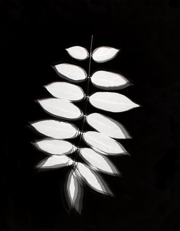 Catalogue raisonné, Henri Foucault, Vibrations 12 - 2003