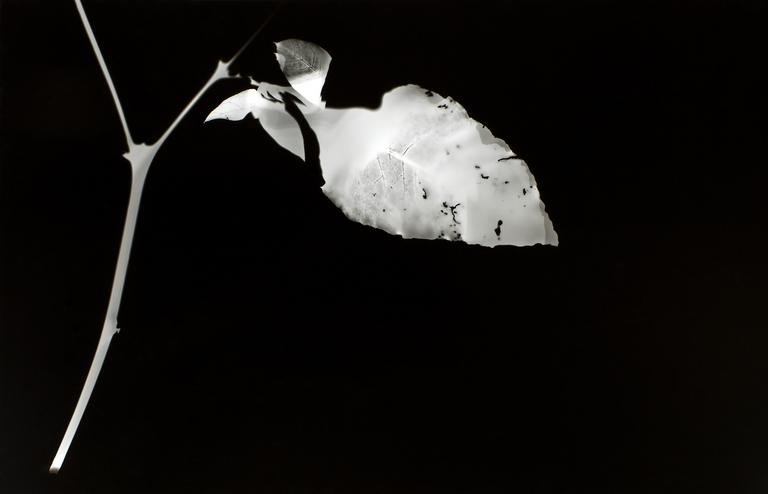 Catalogue raisonné, Henri Foucault, Vibrations 16 - 2000