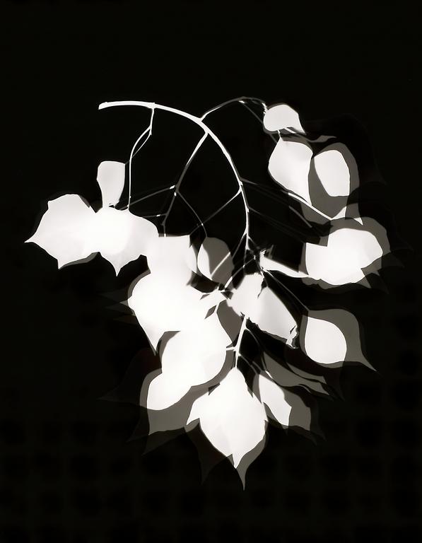 Catalogue raisonné, Henri Foucault, Vibrations 21 - 2003