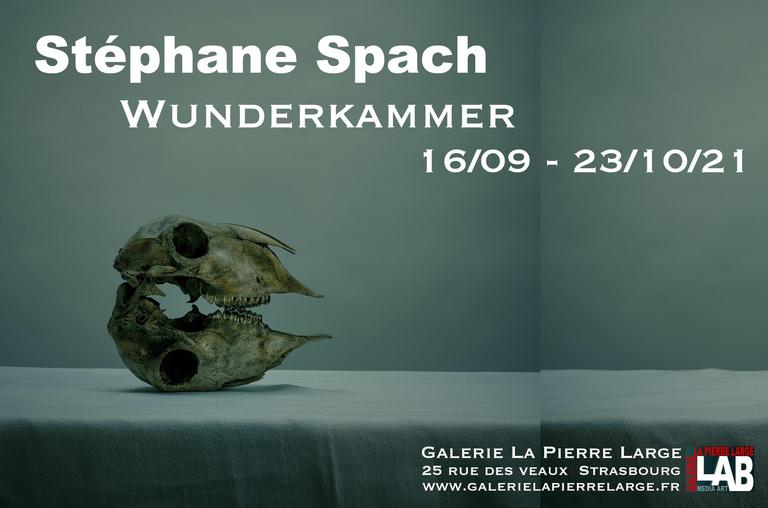 dÃ©tail ''les jumeaux'' StÃ©phane Spach