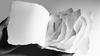 Bernadette Delrieu, Livre Blanc ouvert