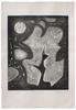 mineral organique — 1966