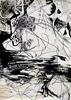 daniel Boursin, serie "la nuit d'étang", 2006