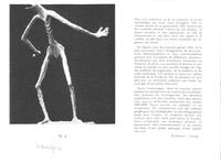 Bestiaires et hiéroglyphes de Daria par G. Waldemar-2