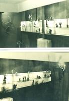 Exposition chez Marthe Nochy 1970 Les vitrines le long d'un mur à l'exposition