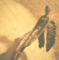 Galerie sculptures 1984 - 12 (photos par Andrée Jabès)