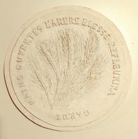 Han Suyin revers L'Arbre blessé 2 (Projet ) Plâtre D=31 cm