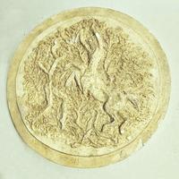 Maurice et Egénie Guérin revers Plâtre D=26.5 cm © Collection Daria Gamsaragan Estate