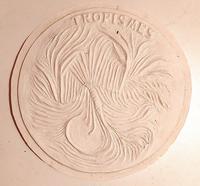 Nathalie Sarraute revers Tropismes Plâtre D=30 cm © Collection Daria Gamsaragan Estate