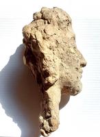 Ebauche d'un portrait (3) 