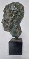 Emmanuel D'astier de la Vigerie Bronze vert profil (2) 