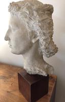 Le vent plâtre (2)