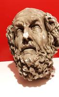 Tête Homère plâtre (1) 