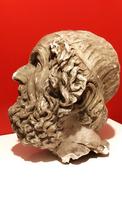 Tête Homère plâtre (3) 
