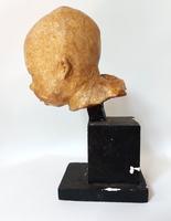 Tête de bébé (2) 