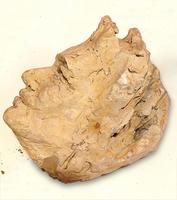 Tête homme terre cuite sans socle (1) 