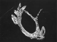 Broche, petite chèvre 