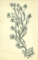 Carte de voeux Fleurs 13,5x21 cm