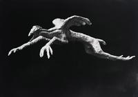 Chimère à tête d'oiseau et corps d'animal 1958 