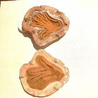 Cire perdue en deux parties, empreinte main L=20 cm hors tout 