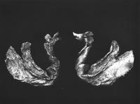 Deux canards broches 