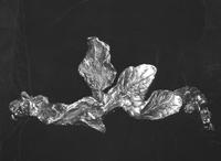 Diadème articulé à feuilles 