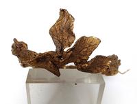 Diadème de feuilles tressées forme articulée (1) D=12 cm 