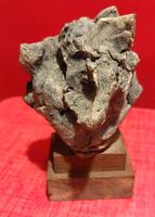 Laocoon terre cuite (2) 