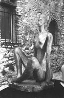 Lotus vue de côté, prise de vue en jardin