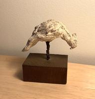 Petit péroquet plâtre 