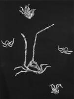 Quatre broches et un pendentif-broche 